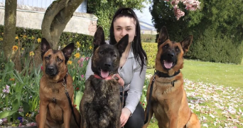 lina pet sitter à GOURNAY EN BRAY 76220_0