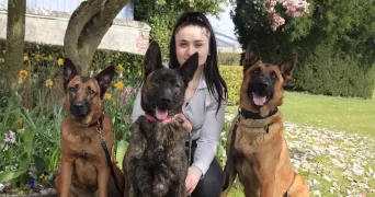 lina pet sitter à GOURNAY EN BRAY 76220