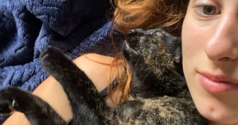 marion pet sitter à Colmar 68000_3