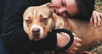 isalyne pet sitter à ST ETIENNE DU ROUVRAY 76800_1