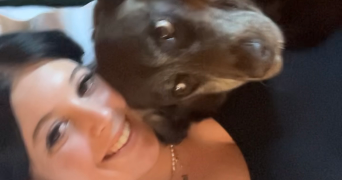 willow pet sitter à ROANNE 42300_1