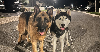 manon pet sitter à PLACHY BUYON 80160_1