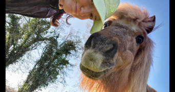 célestine pet sitter à ST ETIENNE 42000_3