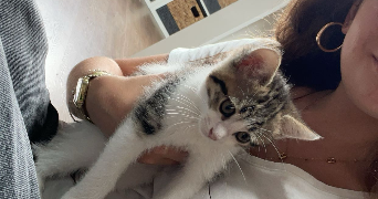 lefebvre pet sitter à VILLENAVE D ORNON 33140_0