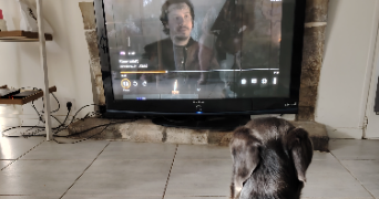 héloïse  pet sitter à Fontenay Le Comte 85200_3