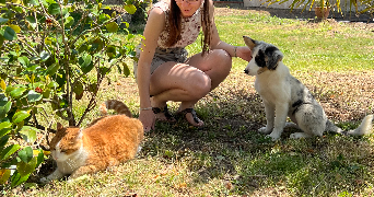 julie pet sitter à VEIGNE 37250_4