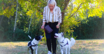 priscillia pet sitter à LIBOURNE 33500_1