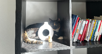 lola pet sitter à CLICHY 92110_2