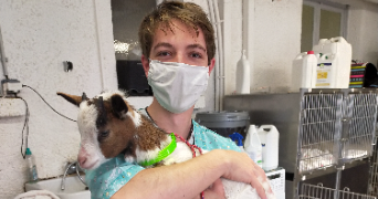 tom pet sitter à Lormont 33310_7