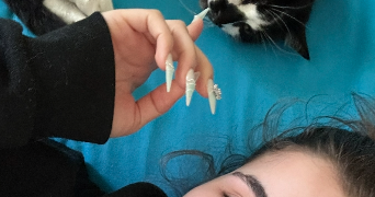 maëlle pet sitter à LHERM 31600_1