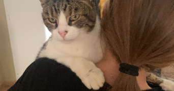 julia pet sitter à BOULOGNE BILLANCOURT 92100_1