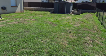 cécilia pet sitter à VILLEMUR SUR TARN 31340_2