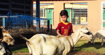 anne-charlotte pet sitter à LA LECHERE 73260_3