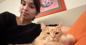 iris pet sitter à AULNAY SOUS BOIS 93600_0