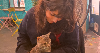 dune pet sitter à LILLE 59000_0