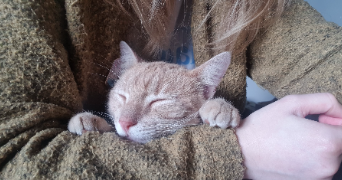 margaux pet sitter à LE BIGNON 44140_3