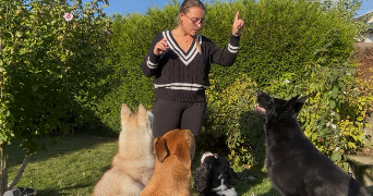 charlyne pet sitter à MONTVILLE 76710_0