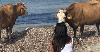 clara pet sitter à ST FARGEAU PONTHIERRY 77310_8