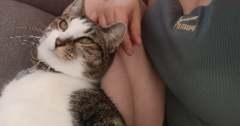 sophie pet sitter à LILLE 59160_6