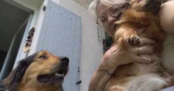 helene pet sitter à PIEGON 26110
