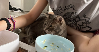 benedicte pet sitter à MURET 31600_3