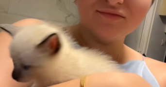 lisa pet sitter à MARSEILLE 01 13001_7