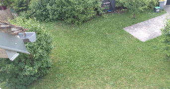 marine pet sitter à CHELLES 77500_2
