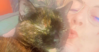 célia pet sitter à ST MARD 17700_1