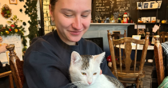 ajlin pet sitter à STRASBOURG 67000_1