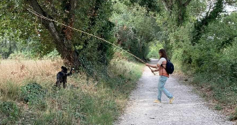 elodie pet sitter à AVIGNON 84000_1