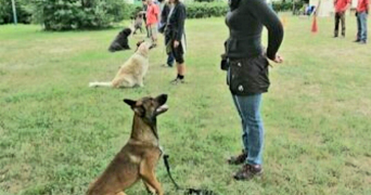 andrea pet sitter à PARIS 11 75011_8