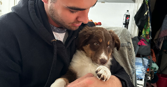 florian pet sitter à CHERBOURG EN COTENTIN 50110_3