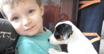 maxence dog sitter à PARIS 15 75015_4