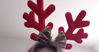 lindsay pet sitter à LUITRE DOMPIERRE 35133_0