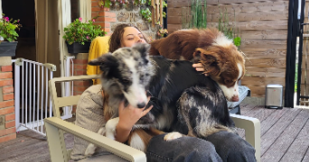 juliette pet sitter à Saint-Coulomb 35350_4
