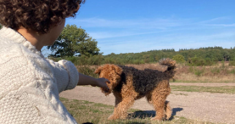 marine pet sitter à PARIS 15 75015_1
