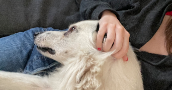 léa pet sitter à MONTROUGE 92120_4