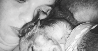 déborah pet sitter à NIORT 79000_0