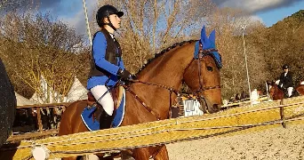 lou pet sitter à TRANS EN PROVENCE 83720