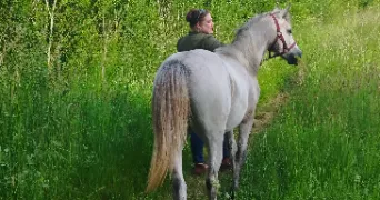 estelle pet sitter à JOUY LE POTIER 45370