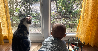 anais pet sitter à TOUL 54200_2