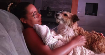 sandy dog sitter à VERINES 17540_9