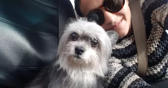 yurka pet sitter à VINCENNES 94300