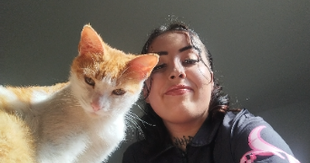 tiziri cat sitter à PARIS 15 75015_1