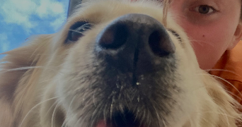 clara pet sitter à LAGORCE 33230_2