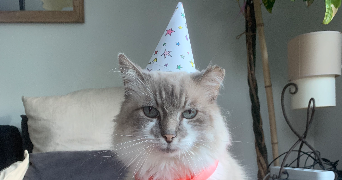 clara pet sitter à SEVRIER 74320_6