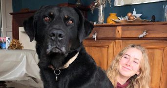 clara pet sitter à Audenge 33980_5