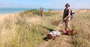 véronique  pet sitter à LA BALME DE SILLINGY 74330_5