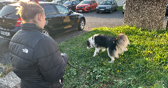 marie pet sitter à LIMEIL BREVANNES 94450_2