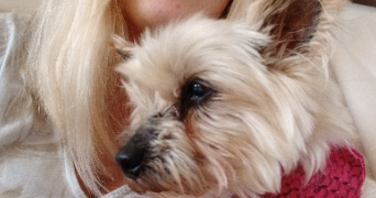 julie pet sitter à QUIMPER 29000_0